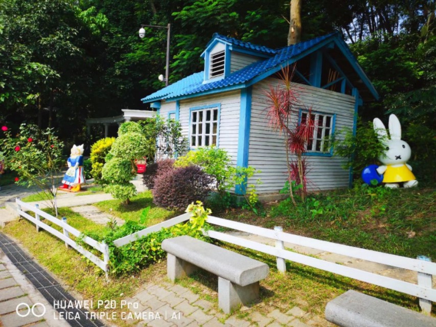 广州云台花园花展,广州云台花园咋样