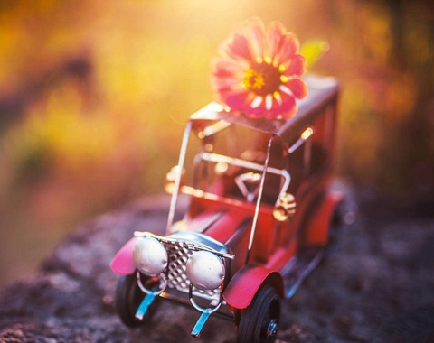 2019年犯太岁的是哪些生肖,2019年犯太岁的生肖有哪些人