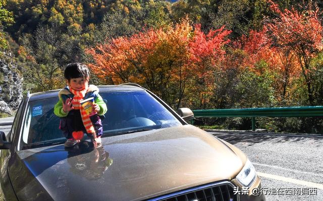 乔妹带你去旅行,乔妹去旅行