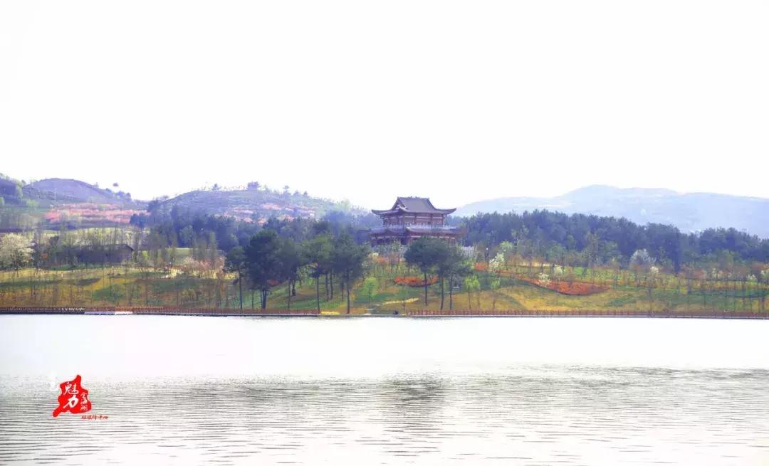 打卡金海湖湿地公园,金海湖湿地公园一日游攻略