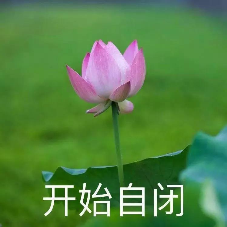 做骨盆修复好还是做盆底肌好,产后骨盆修复到底该去哪里做