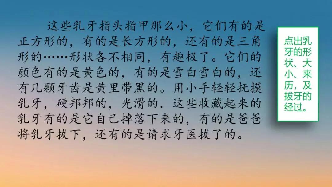 作文五年级部编版我的心爱之物,我的心爱之物800字作文五年级上册