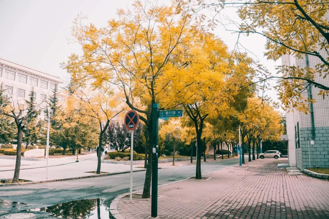 美过三亚!比厦门浪漫!中国这座海滨老城,去一次相当于环游世界