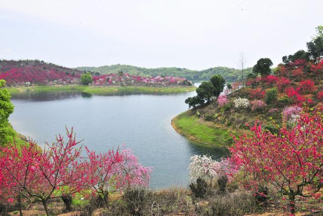 庐山西海阳光照耀29号度假村,庐山西海29度景区
