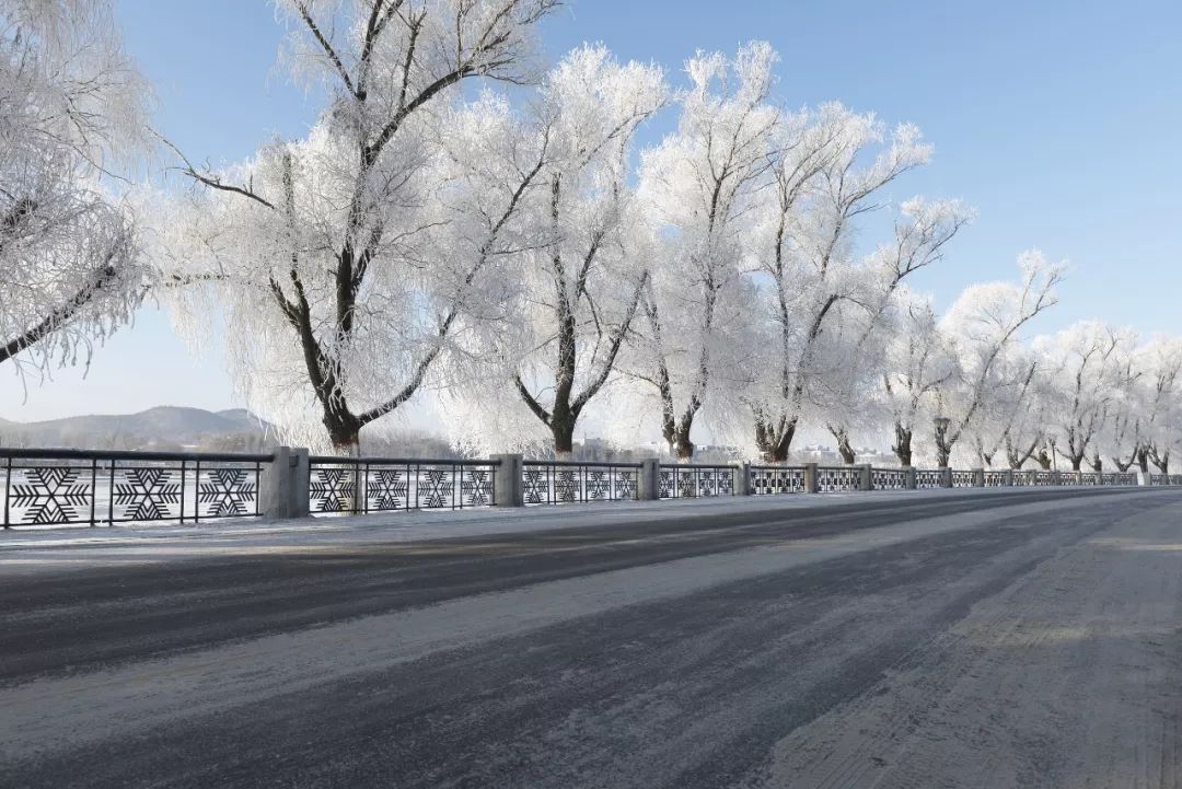 最漂亮的雾凇雪景在哪里,为什么吉林的雾凇最知名