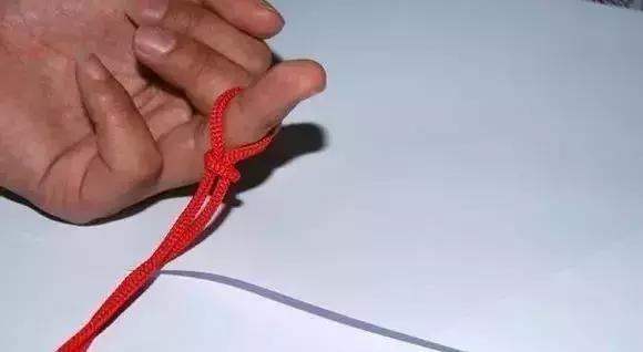 伯劳鸟饲养,没睁眼的伯劳怎样饲养