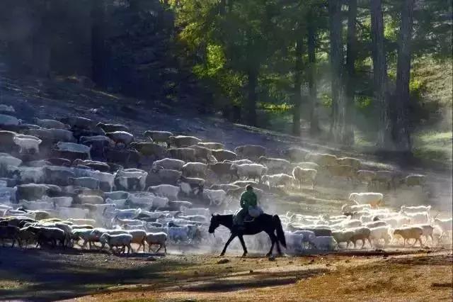 中国国家地理十大最美秋色,寻找中国最美自驾游