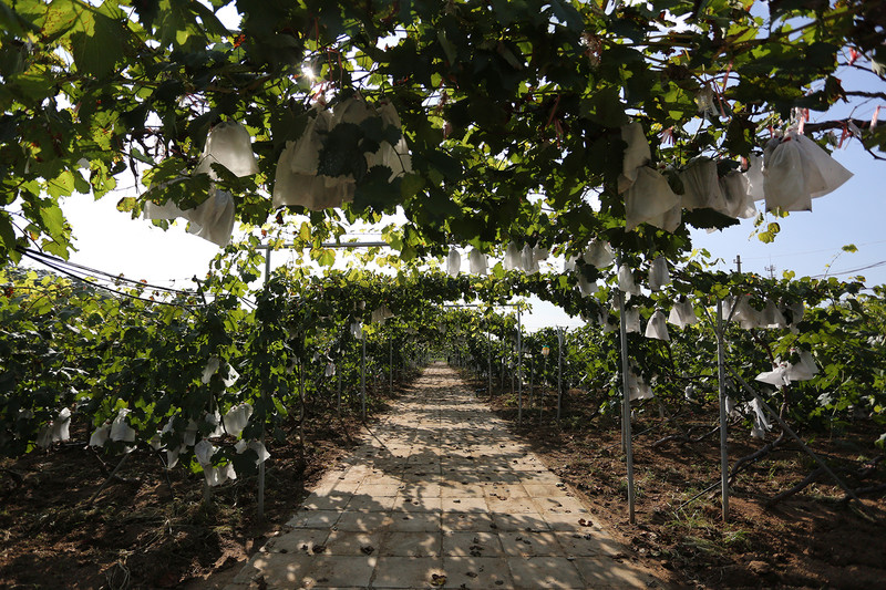 两天一夜游密云,密云两日游最佳攻略