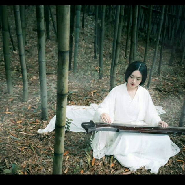 巜以苏轼之名,品味宋代极致美学》——王伟书法之十五