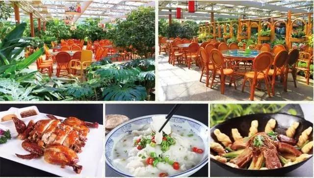 北京丰台五一旅游最佳去处,丰台区赏花景点