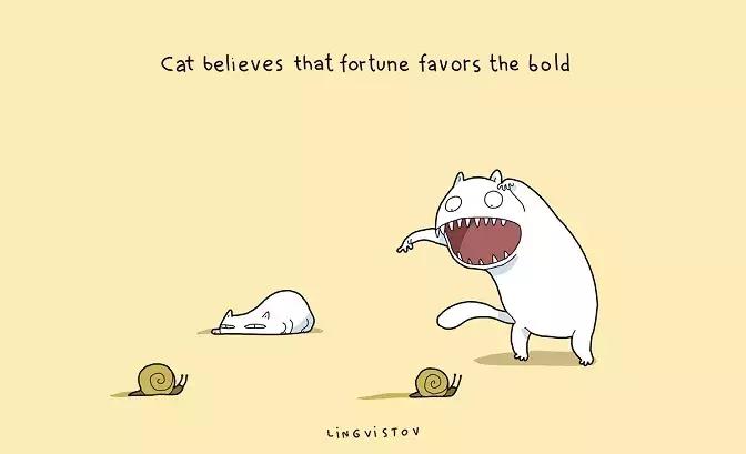 家里养猫的好处也太多了吧,养猫一公一母有什么好处