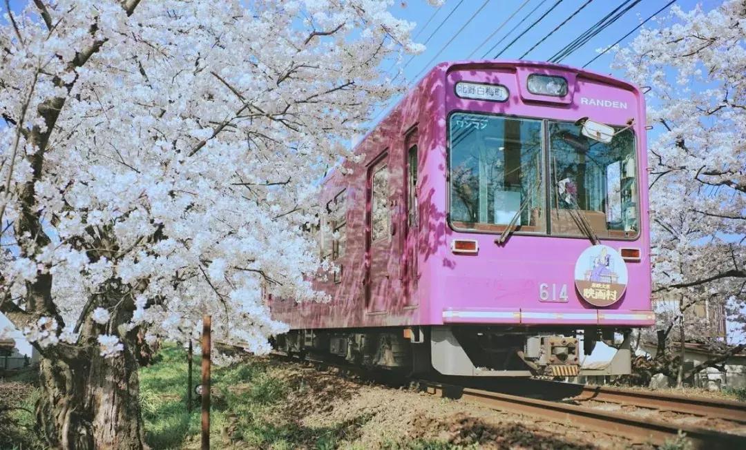 旅行签证新规,干货出国旅行签证新政策