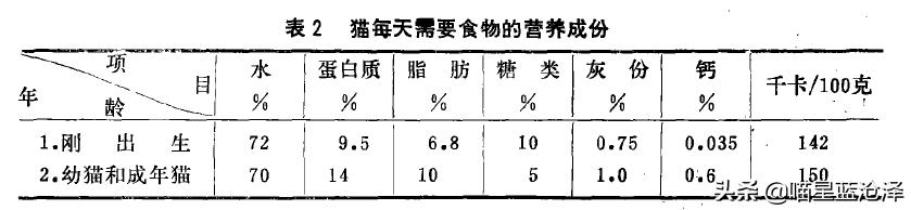 幼猫不知道之前吃什么猫粮怎么办,幼猫该吃什么东西