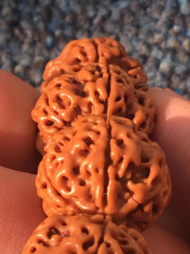 怎么能快速把金刚菩提刷干净,怎么才能把金刚菩提刷干净