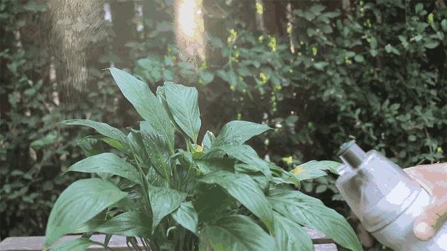 开学必备宝妈推荐,宝妈开学物品分享