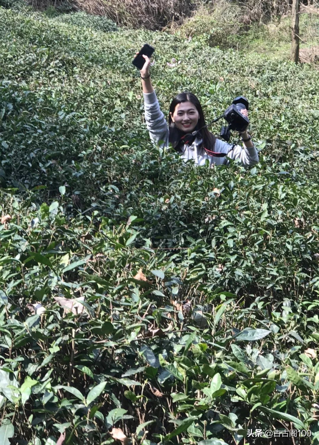 越王峥大峡谷：风景壮美，迷倒众生