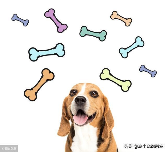 狗狗吃多少木糖醇会造成危险,木糖醇对狗狗有危害吗