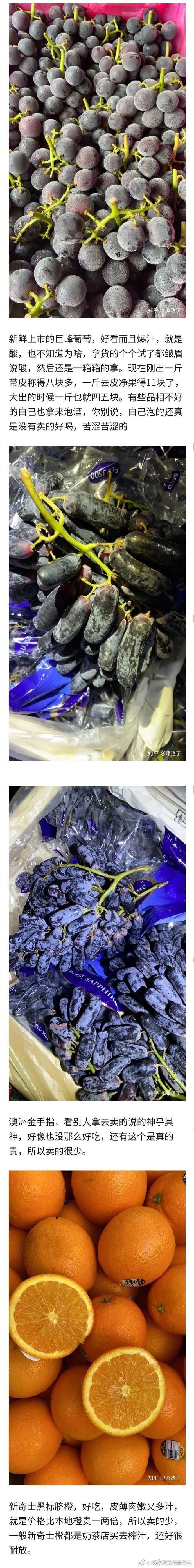 高端水果有哪些,最顶级的水果有哪几种