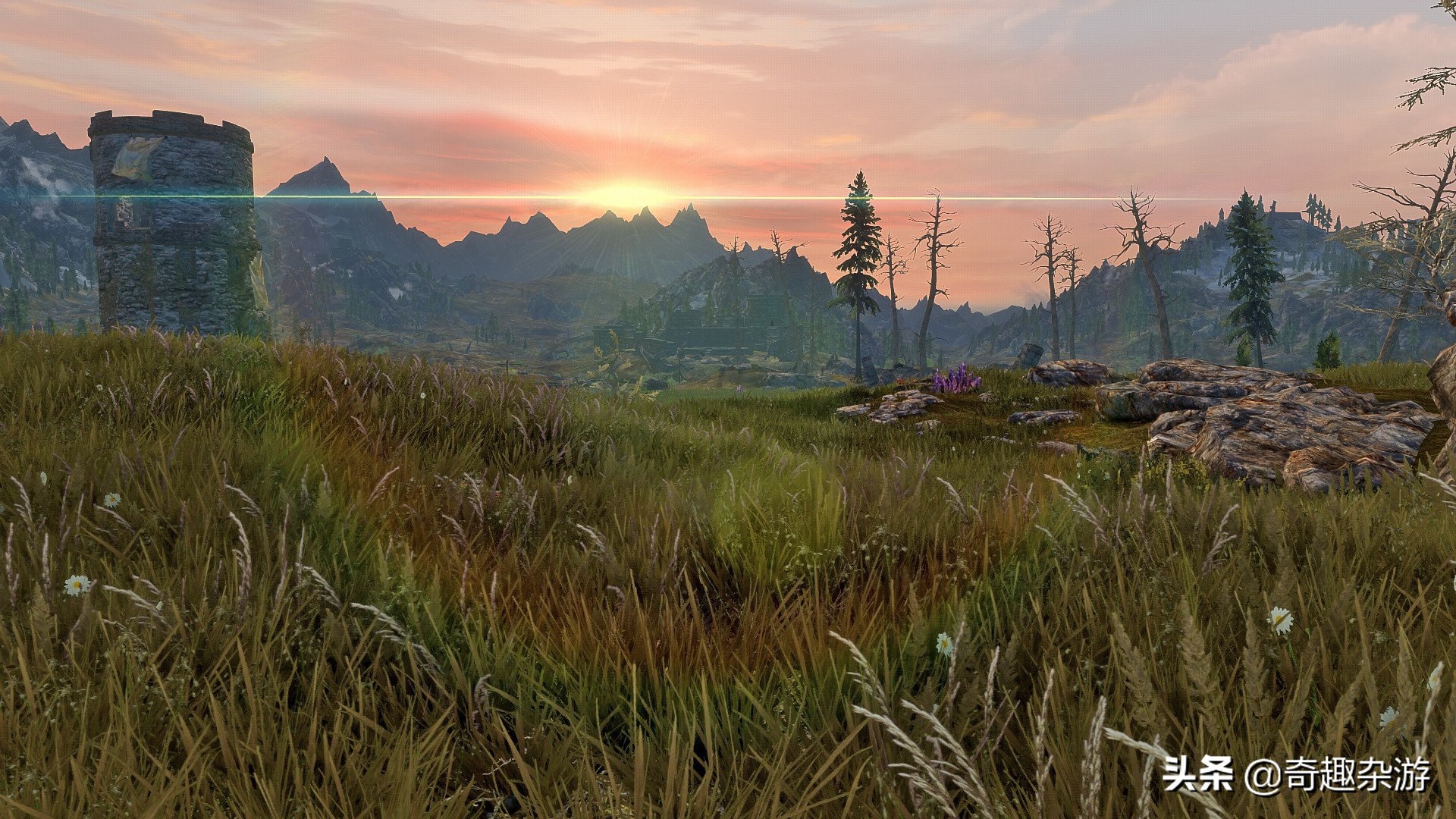 阿玛拉王国类似的游戏,阿玛拉王国是单机游戏吗