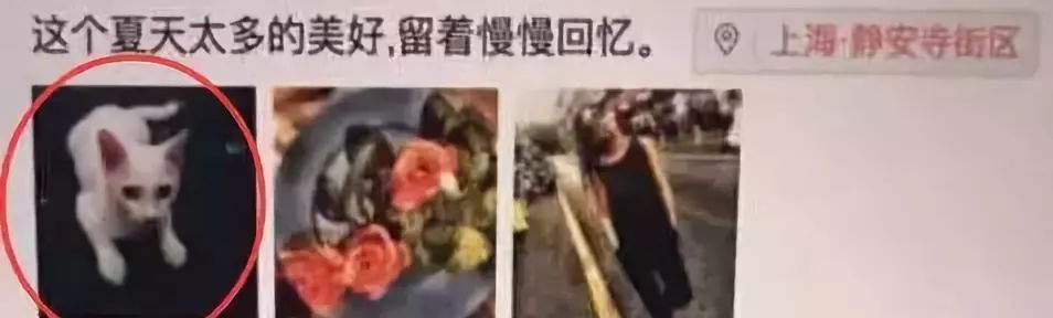 被绿又被打?还为爱自杀?至于吗