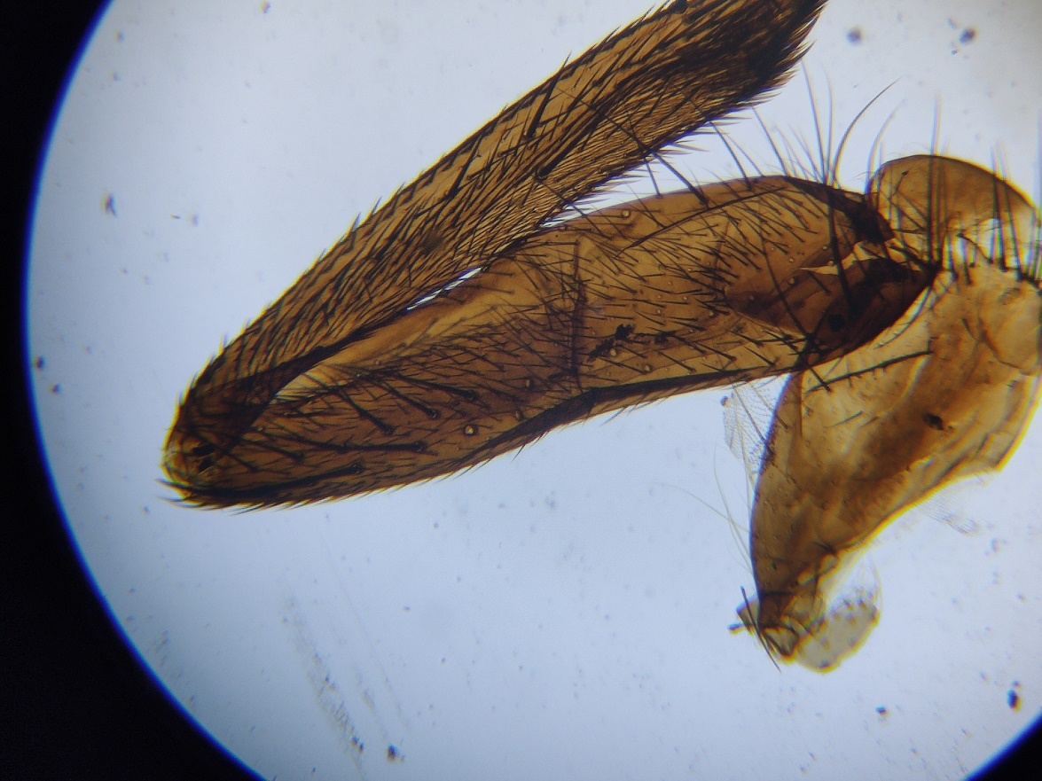 花式搞电脑,花式投影仪玩法