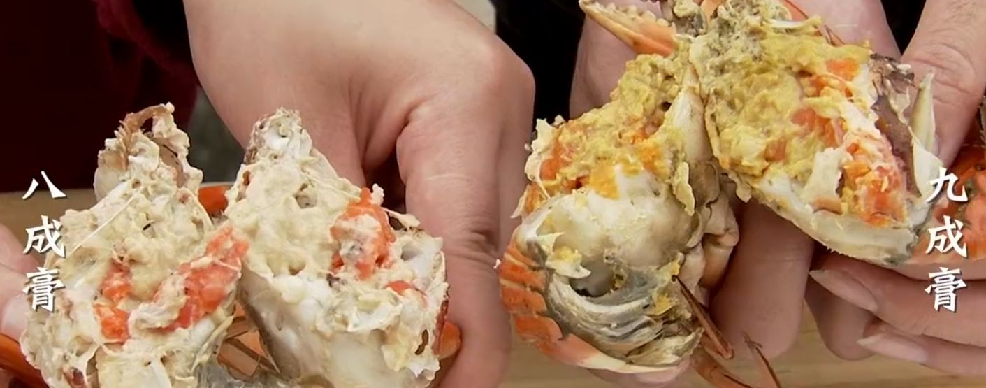 正宗和乐蟹哪里买,广州膏蟹市场价格