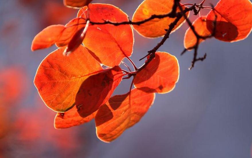 人生真正的迷茫从四十岁开始,人到中年开始思考人生的苦涩了吗