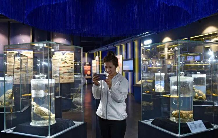 盘锦大洼区旅游攻略,盘锦大洼旅游