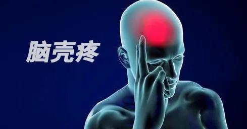 健身的人喜欢什么礼物 (520送什么健身礼物好)