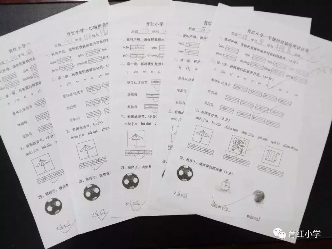 小学语文一年级音节拼写训练,汉语拼音素养评估一年级