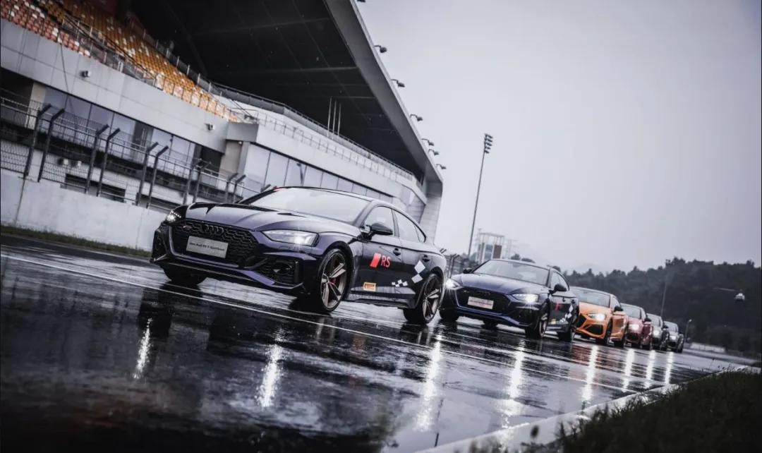 这才是真正的人生赢家,这才是真正的人参枸杞茶