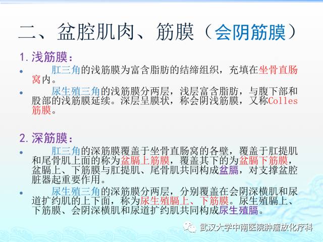 女性盆腔解剖与断层影像