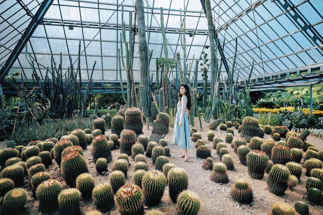 东南花都花博园景观,东南花都花博园