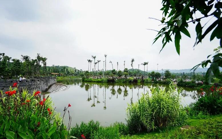 重庆55个景点免费游玩有哪些,重庆五一自驾游1天最佳路线