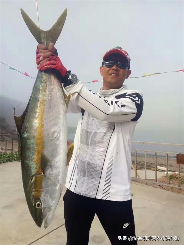 大连獐子岛旅游攻略住宿,獐子岛旅游住宿费用