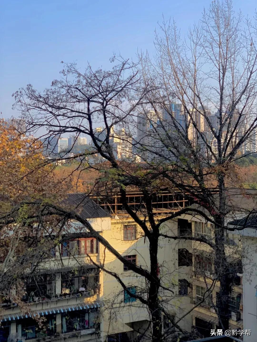 贵阳小学分校排名,贵阳小学总校和分校有区别吗