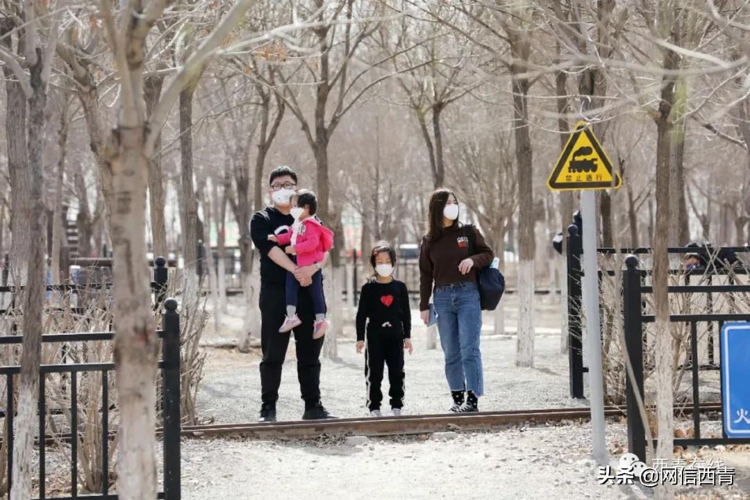 天津新开放的公园,天津水西公园现在恢复开放了吗