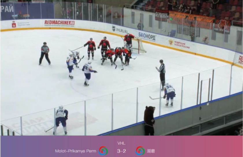 免费看球网站推荐,免费看球的网址有哪些