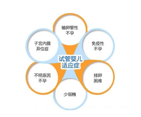 检查项目解读,商演互动环节你问我答