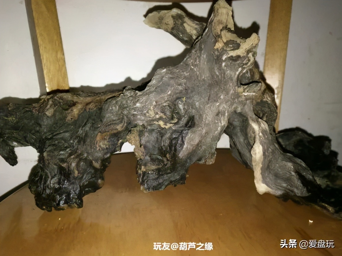 烂木头怎么样处理,烂木头有什么好方法处理