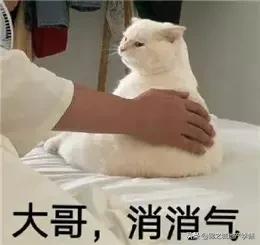 和朋友吵架了冷战怎么解决搞笑,和朋友吵架冷战想和解的视频