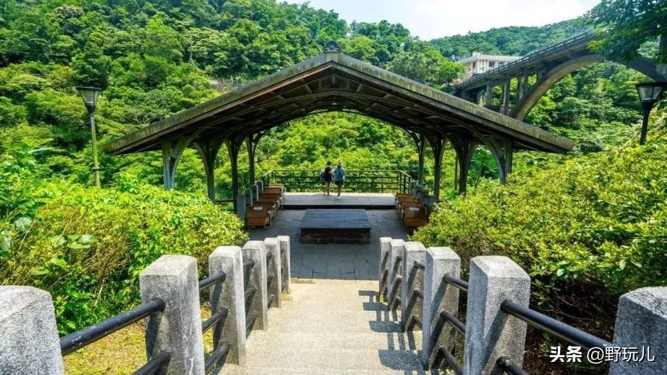 世界上最适合吸猫的城市,吸猫必去的十个地方