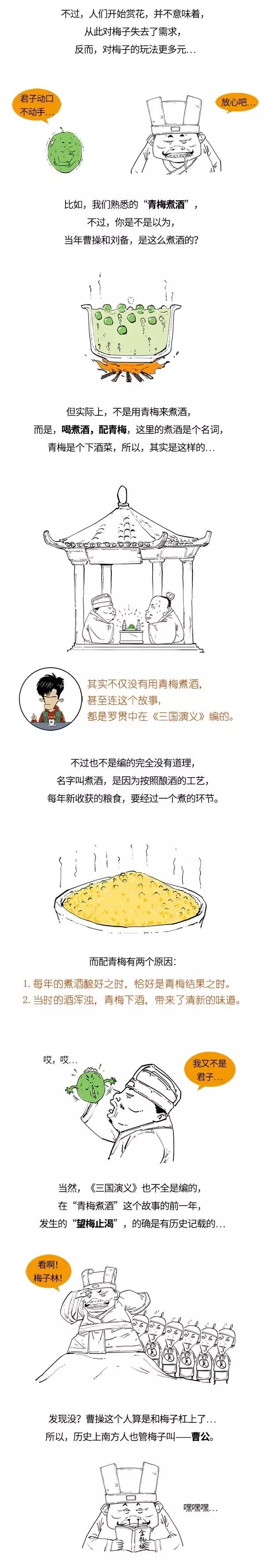 酵素青梅的功效与作用点,青梅有酵素