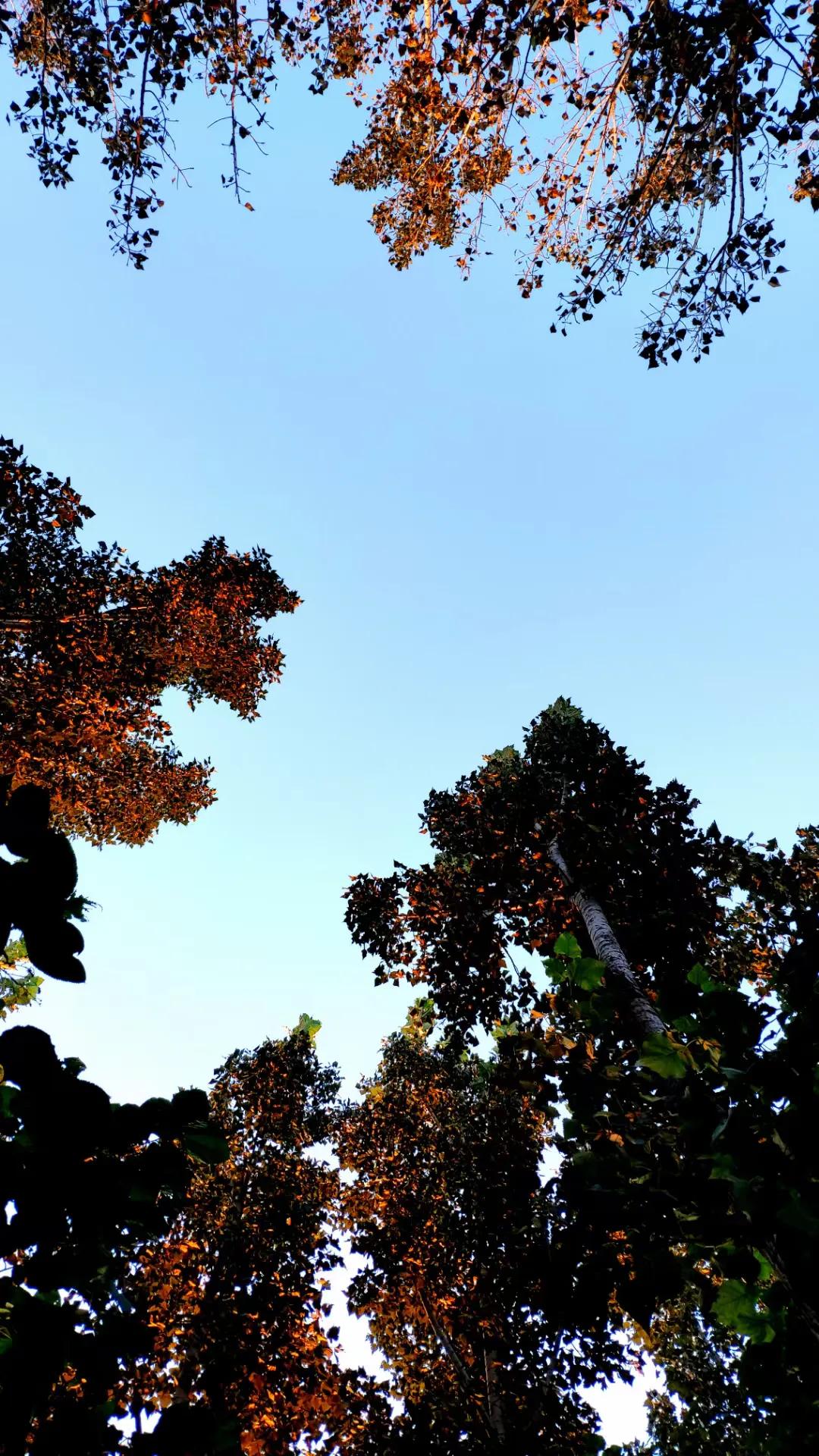 绗旀潵灏忚,绗旀潵