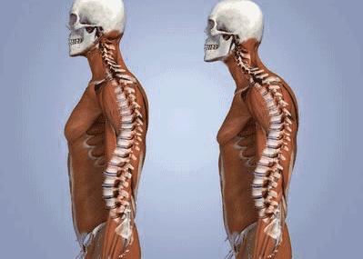 怎么不露肚子还能显好身材,h型身材肚子大怎么减