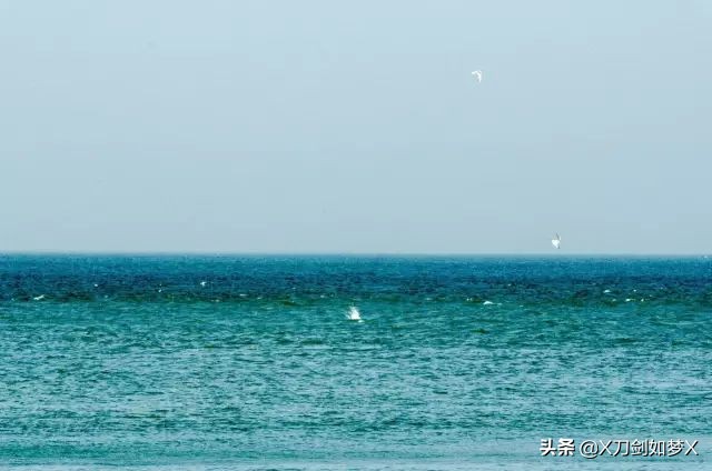 一位导游的枸杞岛之旅 (枸杞岛2021年原创游记攻略分享)