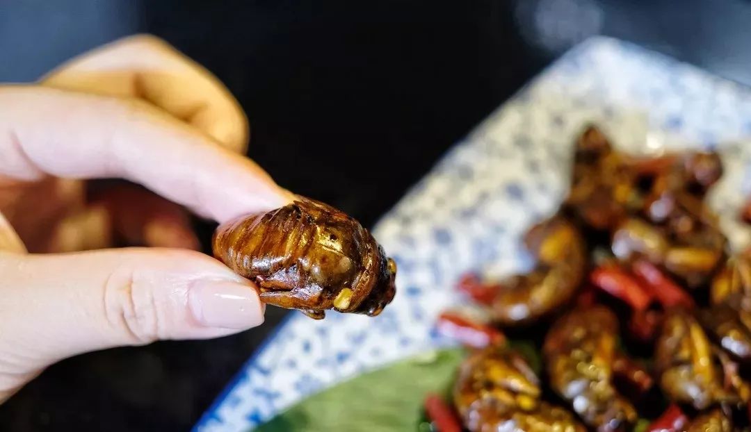 长沙十大奇葩美食,长沙十大变态美食店