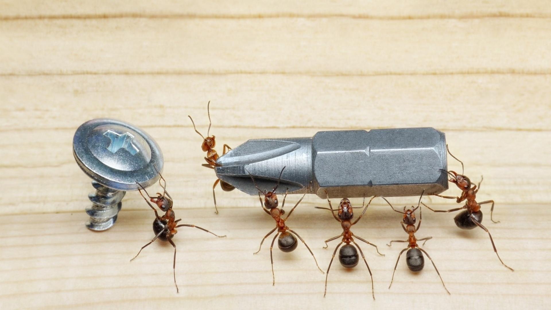 没灵感怎么办,没灵感了以后怎么去获得灵感