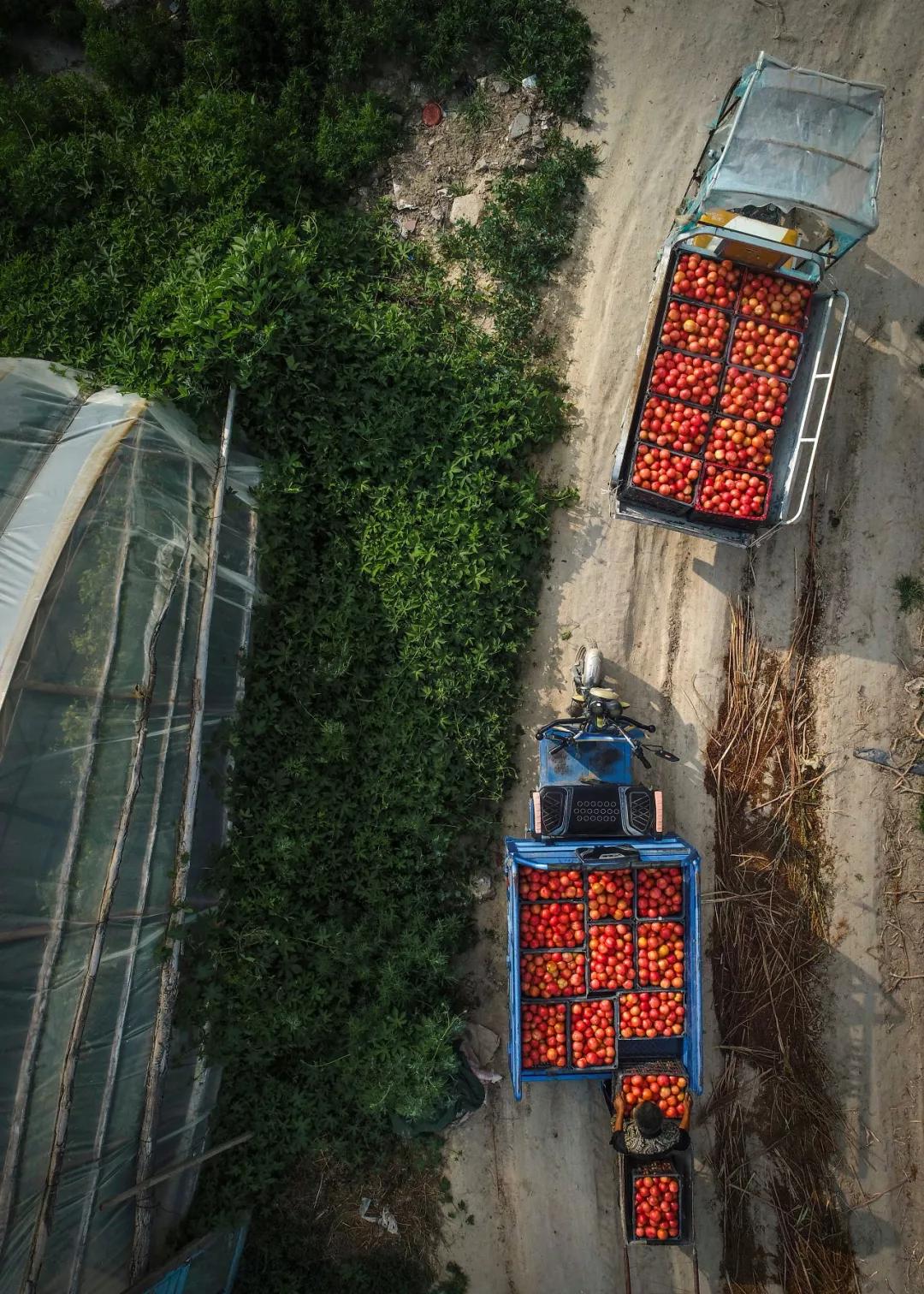 南北相济，中国580多个“菜篮子”是如何炼成的？