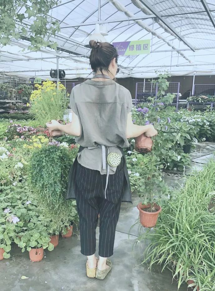 驱蚊草真的可以驱蚊子吗,驱蚊草能治蚊虫吗